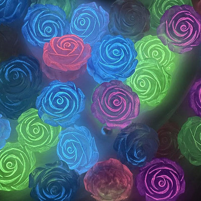 Big colorful luminous rose flower